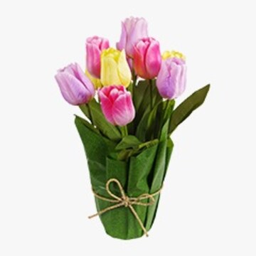 pink and yellow tulips